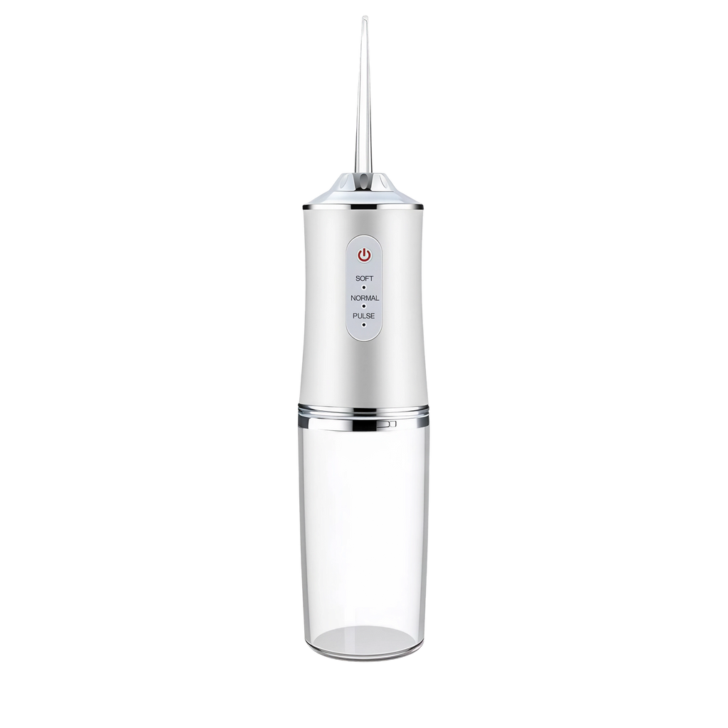 A silver and clear AquaBriska Water Flosser with a metallic body, clear nozzle, and transparent reservoir, shown on a solid white background.