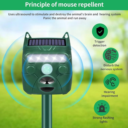 Green solar-powered AviGuard Seagull Deterrent device with text explaining its principle on a green background.