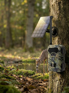 DawniCam Wildlife Camera with solar panel attached to a tree in a forest setting, with a deer in the background.