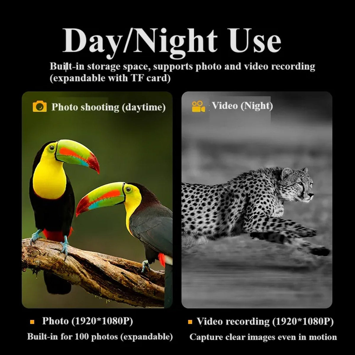 Two toucans on a branch with text about camera features and a leopard in black and white showing different usage of the Hutedark Infrared Binoculars