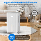 MoisTrixe Portable Dehumidifier in a room with text highlighting its efficiency