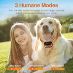 Girl with a dog wearing a PawGofu Shock Collar  in an outdoor setting with text about humane modes and buttons