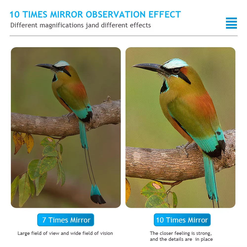 Two images of a bird on a branch with text explaining mirror observation effect at 7x and 10x magnifications.