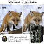 Comparison of 16MP and 8MP images of a fox with a TrailyEye Night Vision Trail Camera