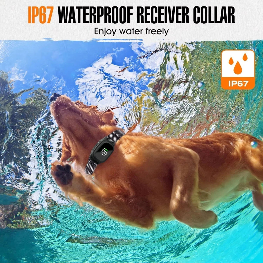 Dog swimming underwater wearing a waterproof WhisiPaw Dog Anti Bark Collar collar with IP67 rating.