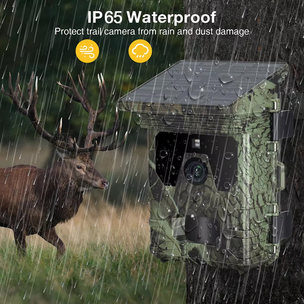 Wildsnap v2 Solar Trail Camera  with IP65 waterproof rating in a rain-soaked forest setting, featuring a deer.
