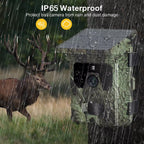 Wildsnap v2 Solar Trail Camera  with IP65 waterproof rating in a rain-soaked forest setting, featuring a deer.