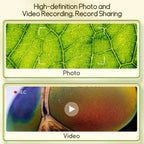 Comparison of photo and video recording on a leaf with visible detail.