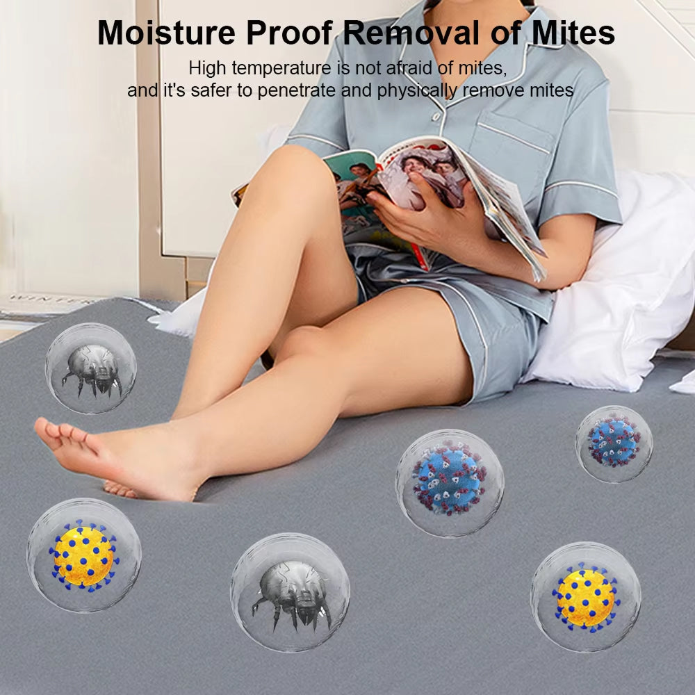 CoziraCe Heated Blanket plush microfleece