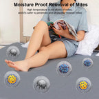 CoziraCe Heated Blanket plush microfleece