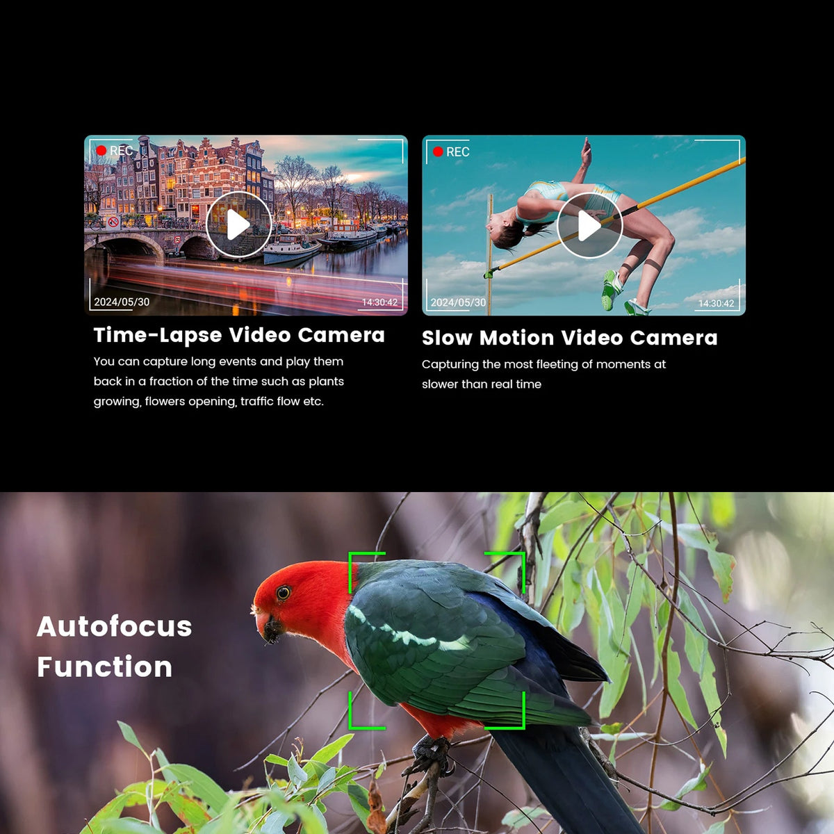 Lensiox DSLR Camera product shot