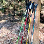 NordVaxi Nordic Walking Poles alternate view