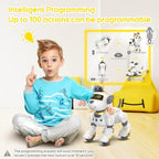SnibBoxi Robot Dog Toy touch response